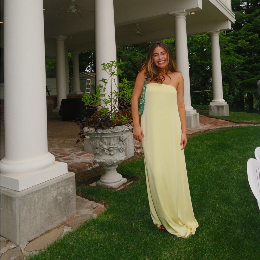 Meshki Luisa Dress
